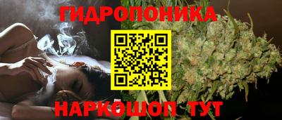 СК Краснокаменск